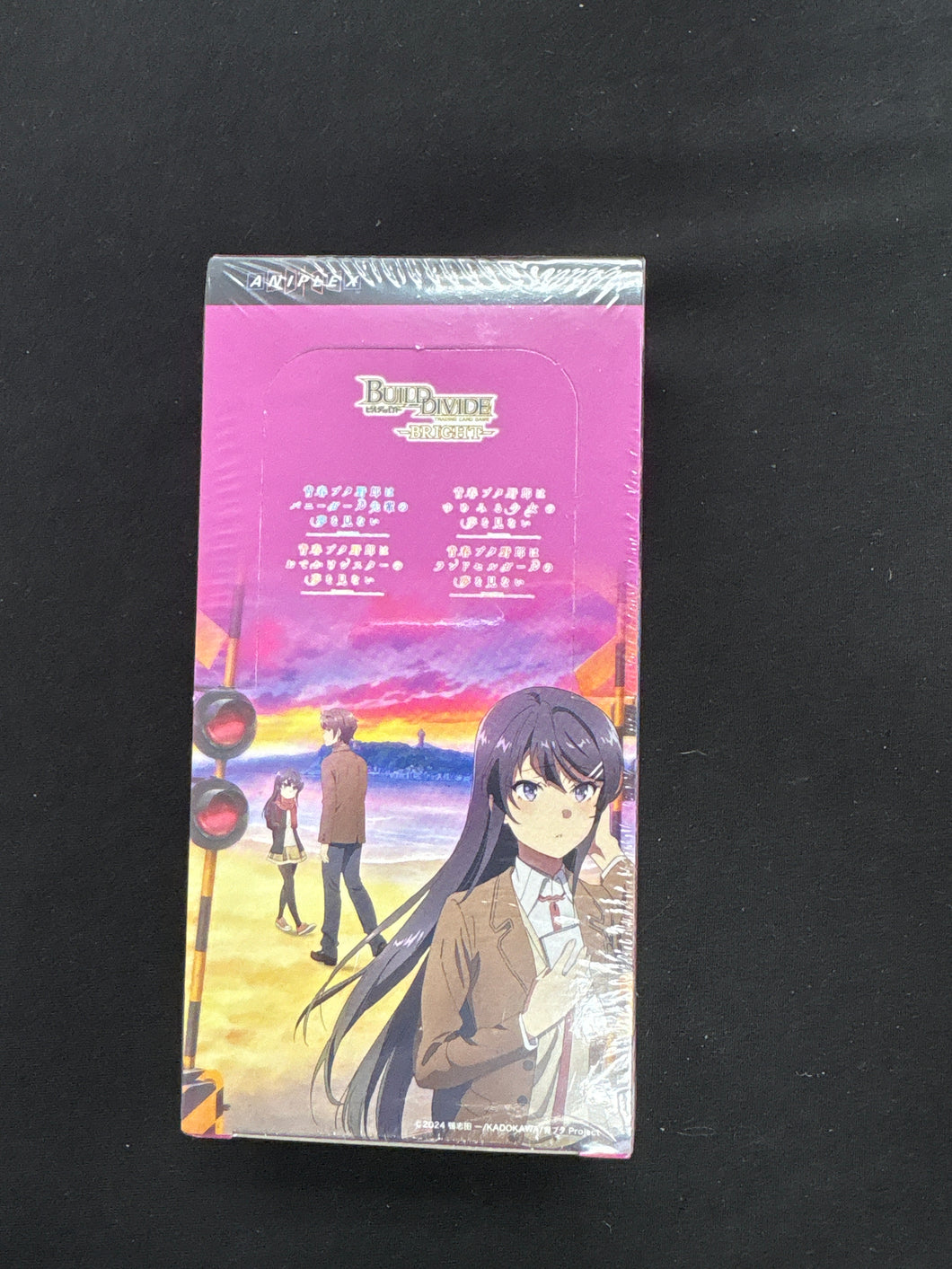 Build Divide Rascal Vol. 3 Jp Build and Divide Rascal Does Not Dream of Bunny Girl Vol. 2 – 88 Cardhouse
