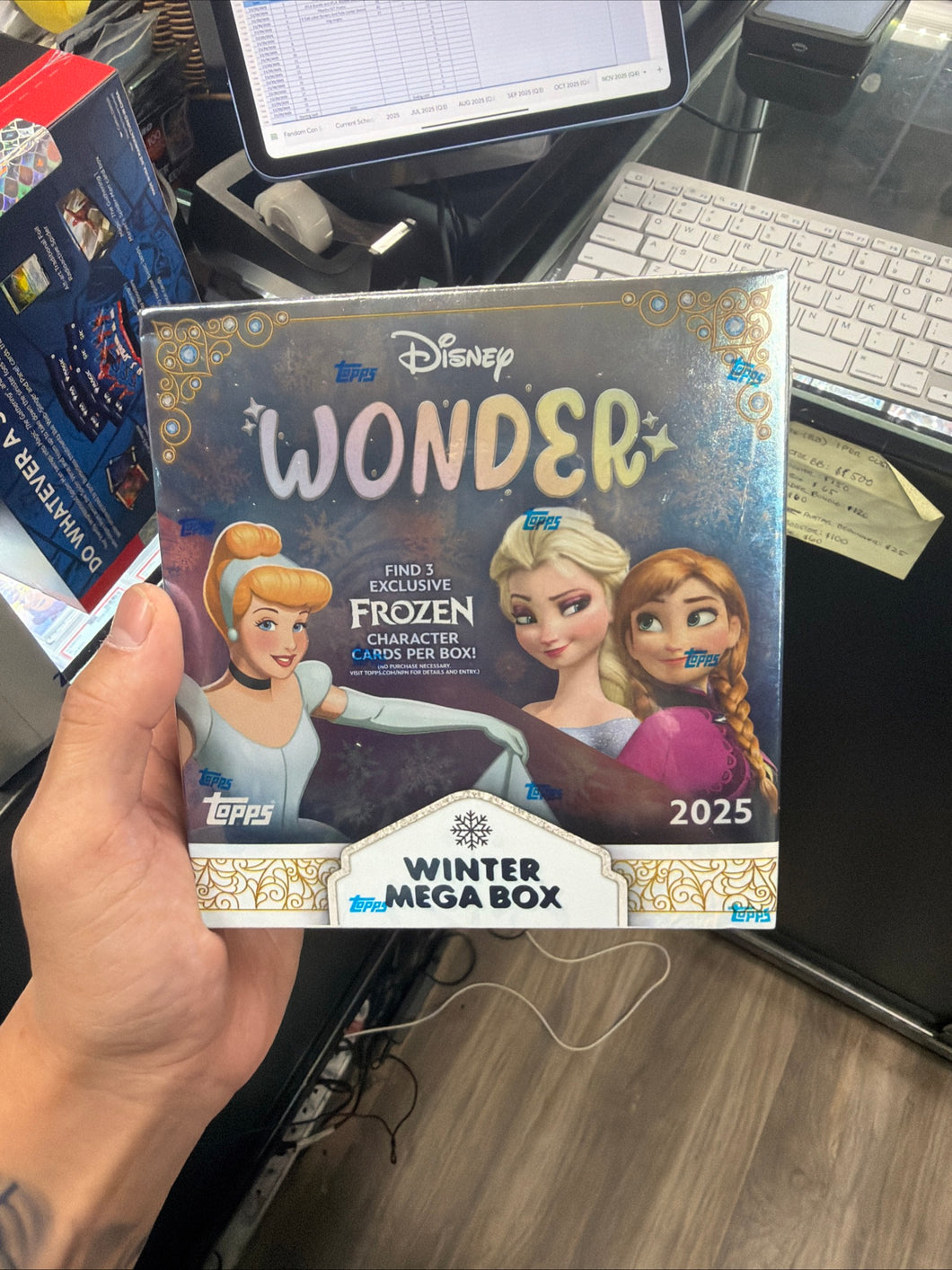 Disney Wonder frozen
